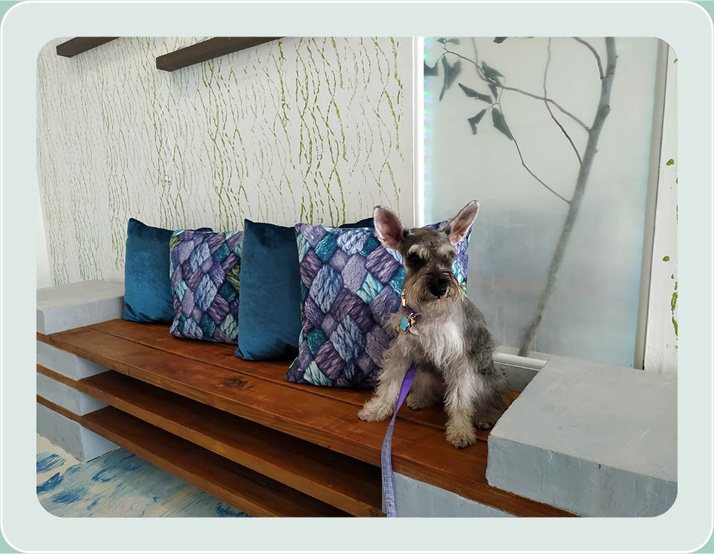 Sala de espera perros